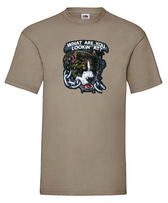 FRUIT OF THE LOOM T-shirt με στάμπα A9088 ΧΑΚΙ